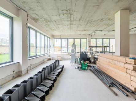 Pronájem obchodní prostor, 260 m²