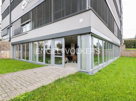 Pronájem obchodní prostor, 260 m²