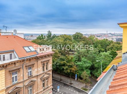 Pronájem bytu, 6+kk, 241 m²