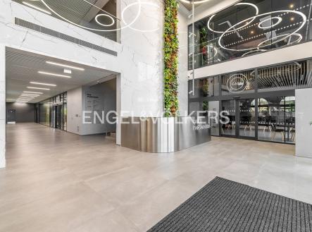 Pronájem kanceláře, 200 m²