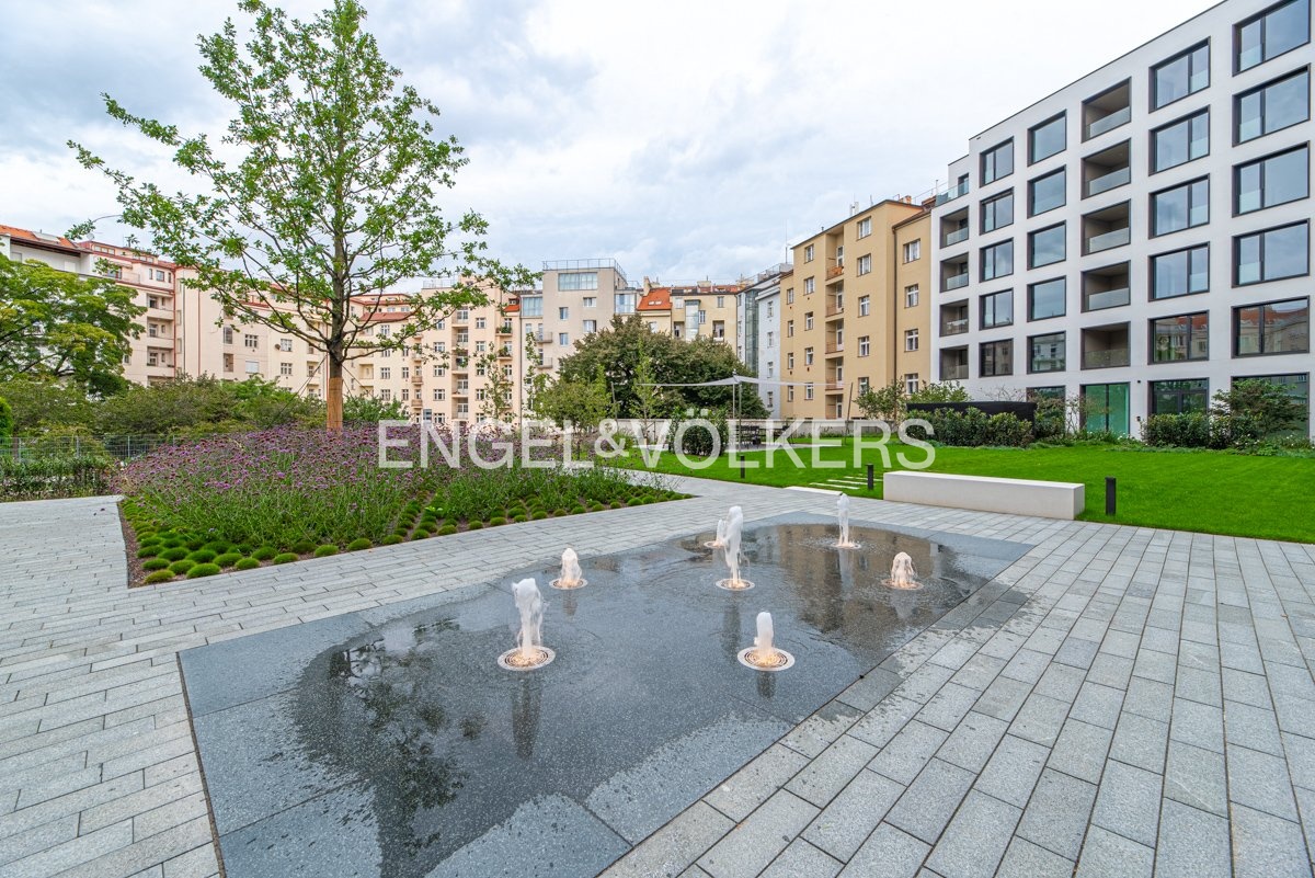 Fotku se nepodařilo načíst.