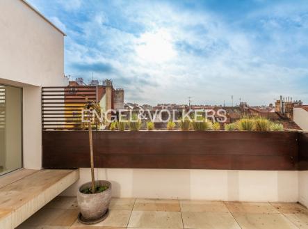 Pronájem bytu, 5+1, 220 m²