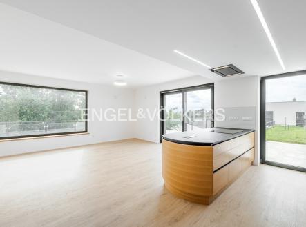 Pronájem domu/vily, 290 m²