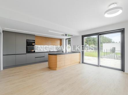 Pronájem domu/vily, 290 m²