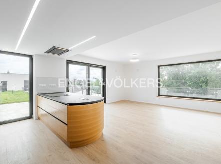 Pronájem domu/vily, 290 m²