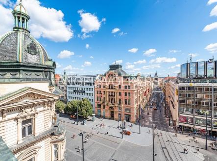 Pronájem kanceláře, 231 m²