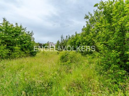 Pronájem pozemku pro komerční výstavbu, 30 283 m²