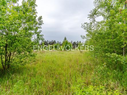 Pronájem pozemku pro komerční výstavbu, 30 283 m²