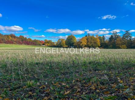 Prodej pozemku, zemědělská půda, 197 000 m²