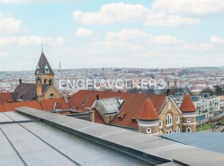 Pronájem bytu, 4+kk, 165 m²