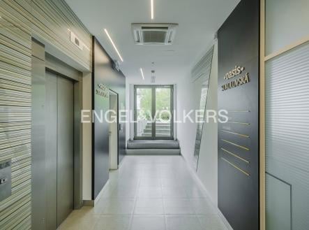 Pronájem kanceláře, 311 m²