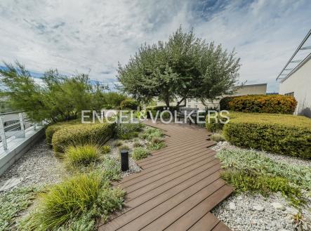 Pronájem kanceláře, 311 m²