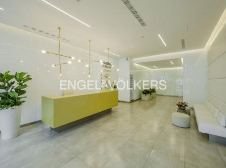 Pronájem kanceláře, 311 m²