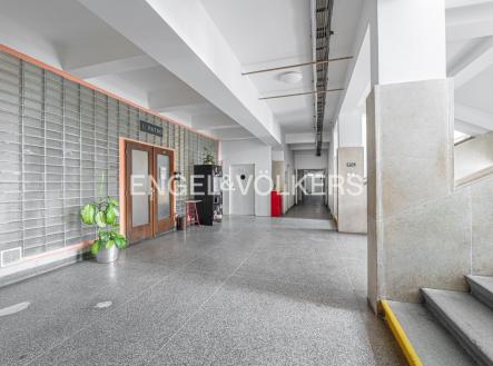 Pronájem kanceláře, 25 m²