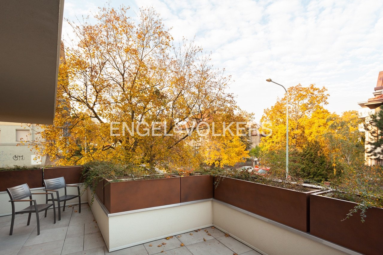 martin flat - photo Alexandra Timpau-15