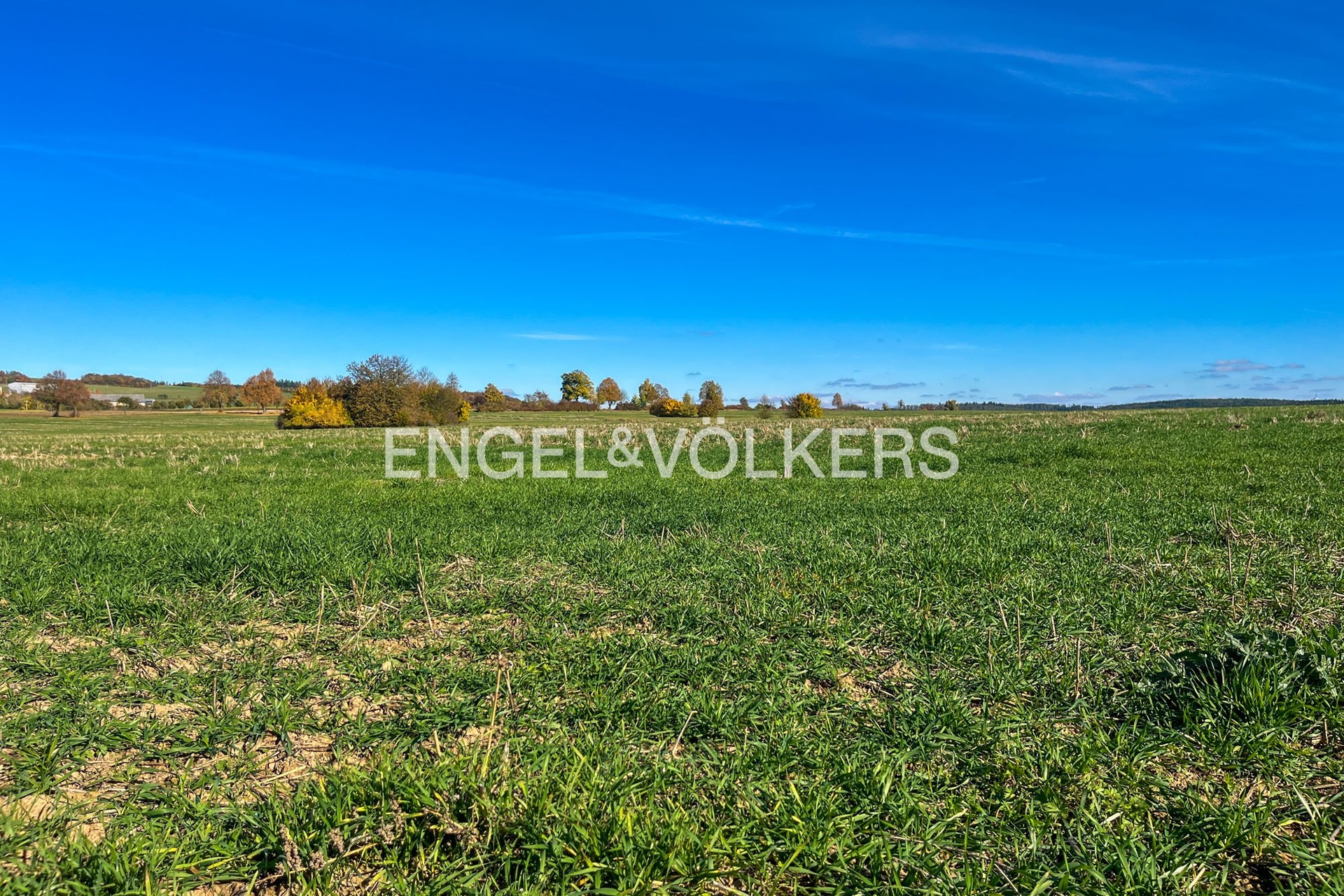 IMG_5155_exposé (1)