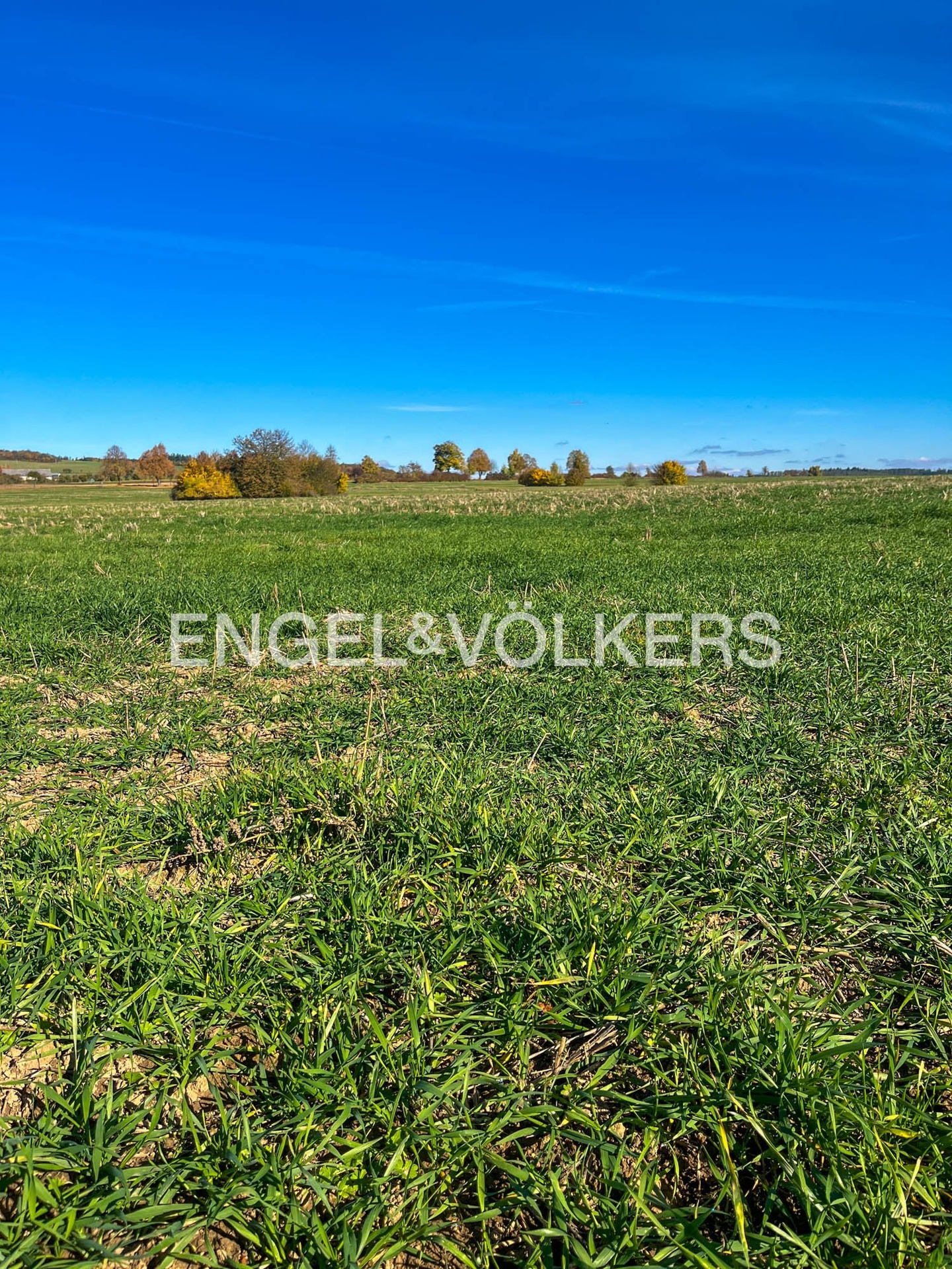 IMG_5154_exposé (1)