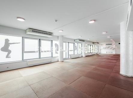 Pronájem obchodní prostory, 360 m²