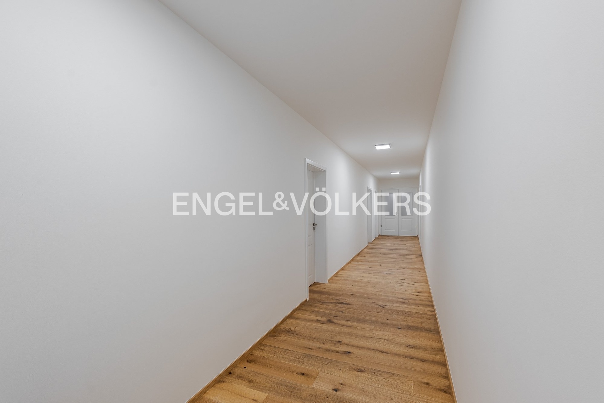 Fotku se nepodařilo načíst.