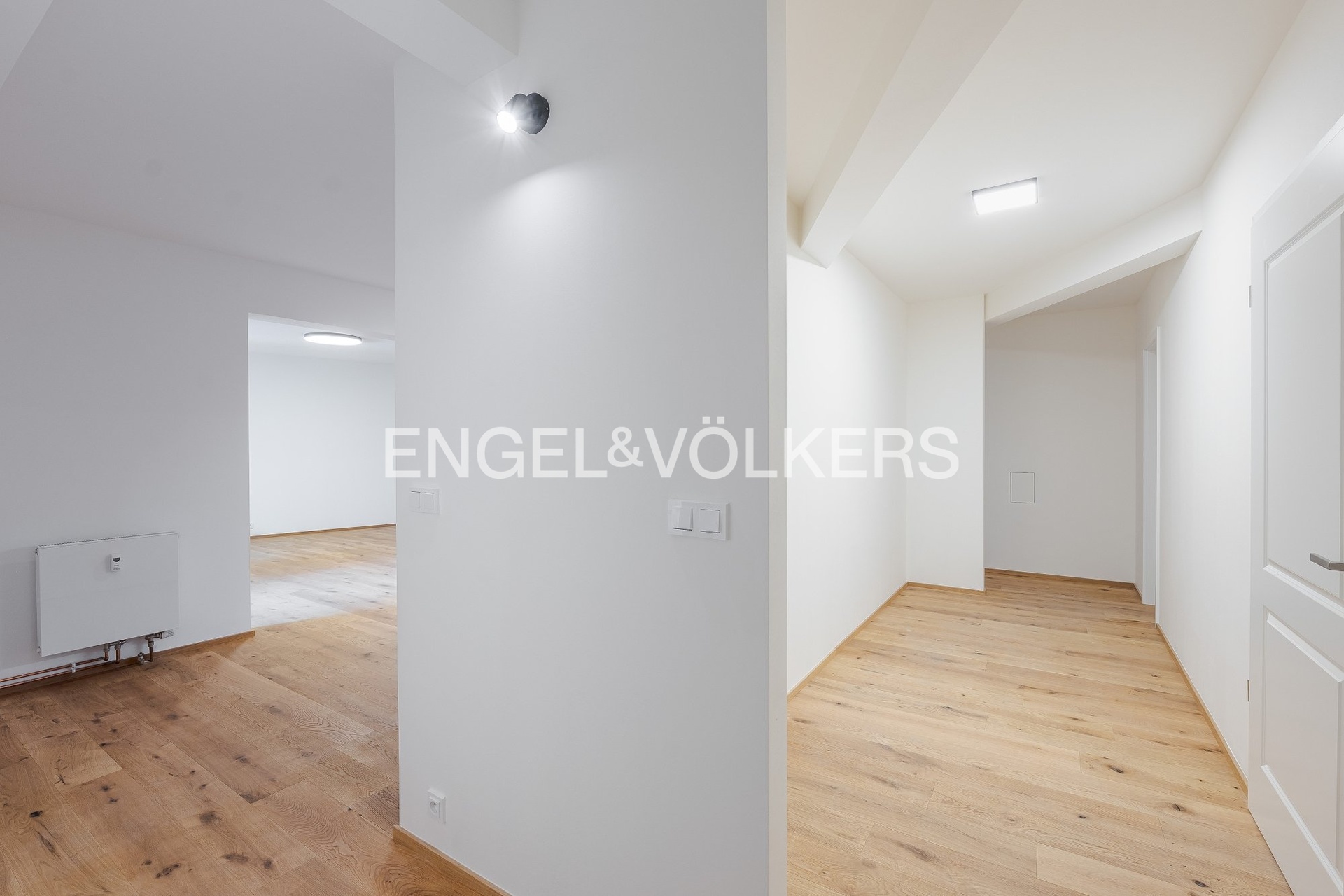 Fotku se nepodařilo načíst.