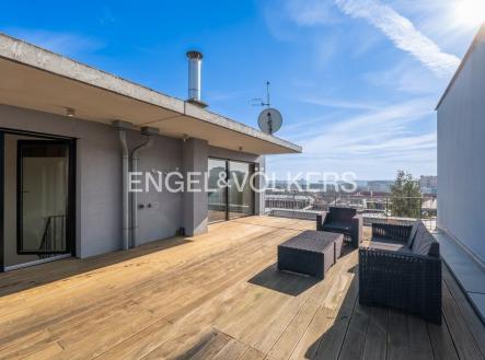 Pronájem domu/vily, 259 m²