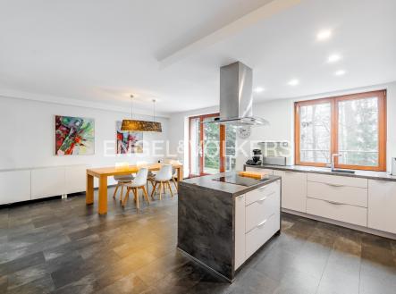 Pronájem domu/vily, 320 m²