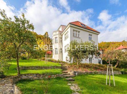 Pronájem domu/vily, 356 m²