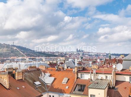 Pronájem bytu, 4+kk, 220 m²