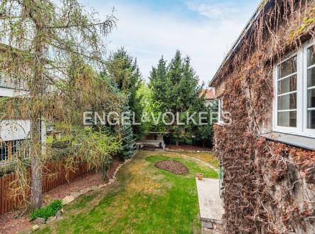 Pronájem domu/vily, 260 m²