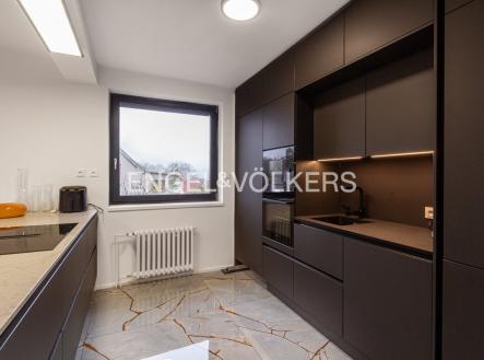 Pronájem domu/vily, 345 m²