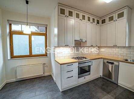 Pronájem domu/vily, 250 m²