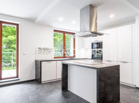 Pronájem domu/vily, 320 m²