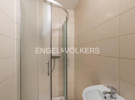 Pronájem bytu, 1+1, 48 m²