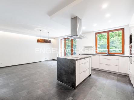 Pronájem domu/vily, 320 m²