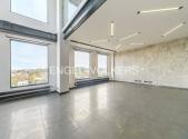 Pronájem bytu, 4+kk, 421 m²