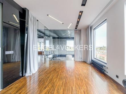 Pronájem bytu, 4+kk, 421 m²