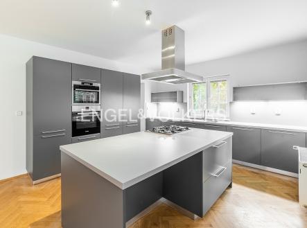 Pronájem domu/vily, 302 m²