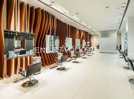 Pronájem obchodní prostory, 923 m²