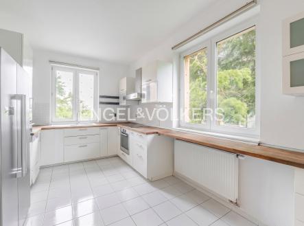 Pronájem domu/vily, 300 m²
