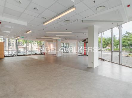 Pronájem obchodní prostory, 291 m²
