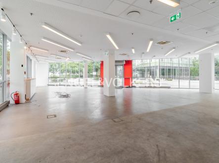 Pronájem obchodní prostory, 291 m²