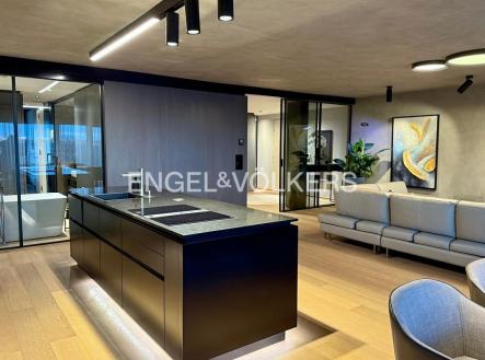 Pronájem bytu, 4+kk, 178 m²