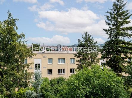Pronájem domu/vily, 172 m²