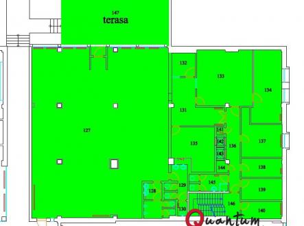 Pronájem - obchodní prostor, 453 m²