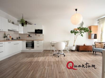 Pronájem bytu, 1+kk, 47 m²