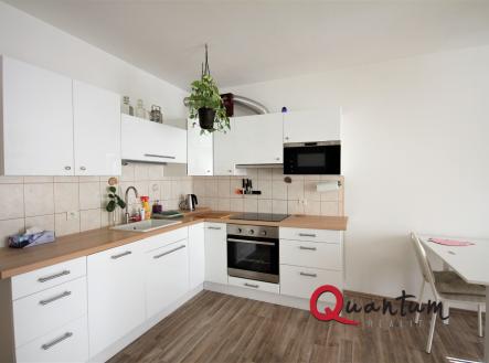 Pronájem bytu, 1+kk, 47 m²