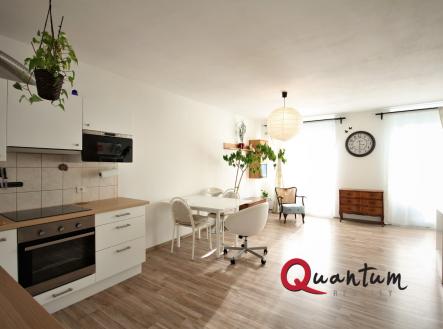 Pronájem bytu, 1+kk, 47 m²