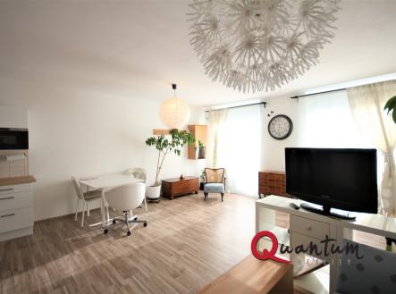 Pronájem bytu, 1+kk, 47 m²