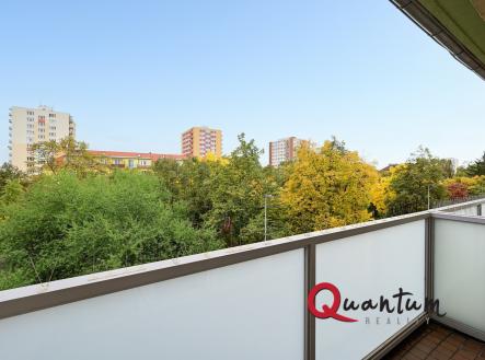 DSC_5571_00001_2_00001_3_00001_4_00001_Fusion-Natural