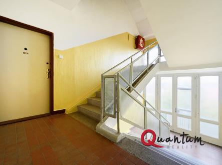 DSC_5667_00001_8_00001_9_00001_Fusion-Natural